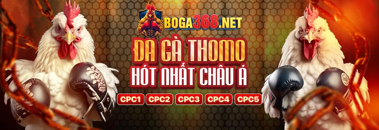Khu vực đấu trường đá gà trực tiếp sôi động tại 168f